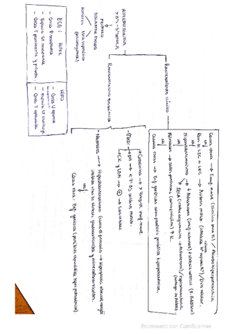 Hiperpotasemia.pdf