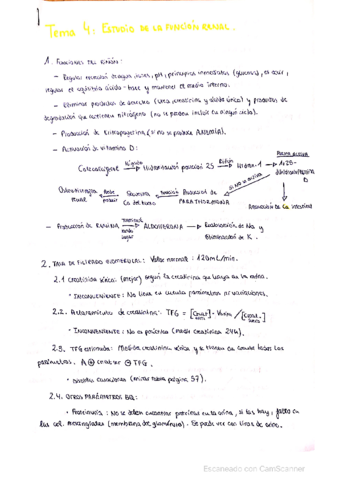 Estudio-funcion-renal.pdf