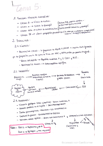 Estudio-funcion-pancreatica.pdf