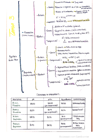 Equilibrio-acido-base.pdf