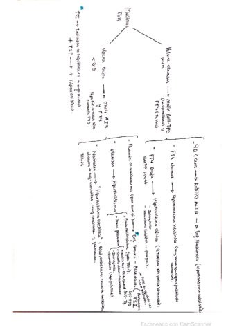 Estudio-de-la-TSH.pdf