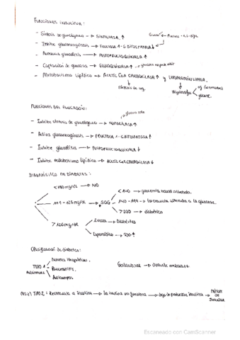 Bioquimica-de-la-diabetes.pdf