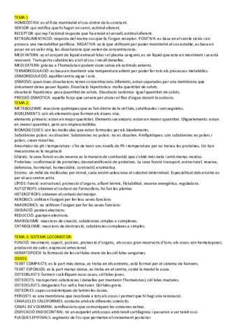 DICCIONARI-TERMES.pdf