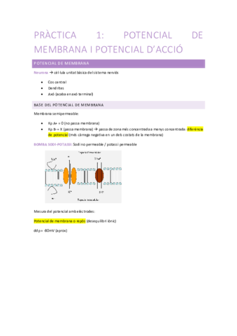 Practica-FH-potencial-de-membrana-i-potencial-accio.pdf