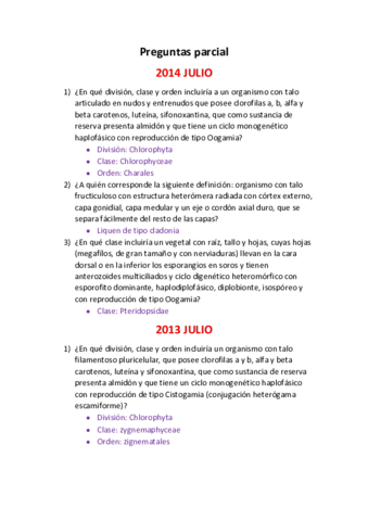 Preguntas parcial.pdf