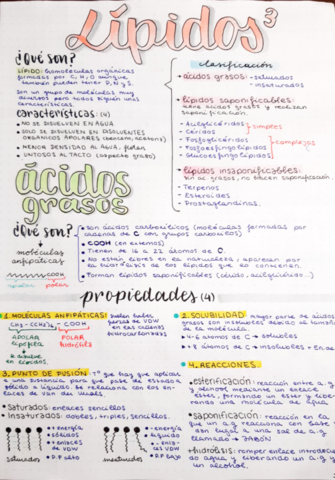 tema-3-LIPIDOS-2-BACHILLERATO.pdf
