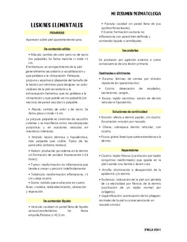 LESIONES-ELEMENTALES.pdf