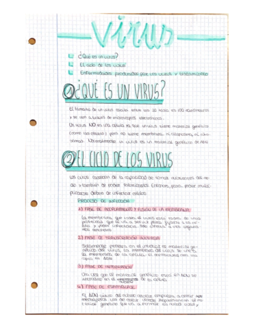 Virus.pdf
