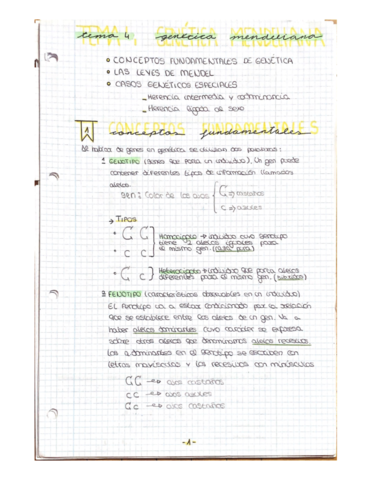 Genetica-mendeliana.pdf