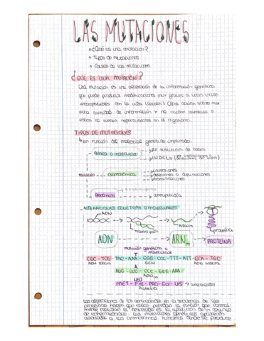Las-mutaciones.pdf