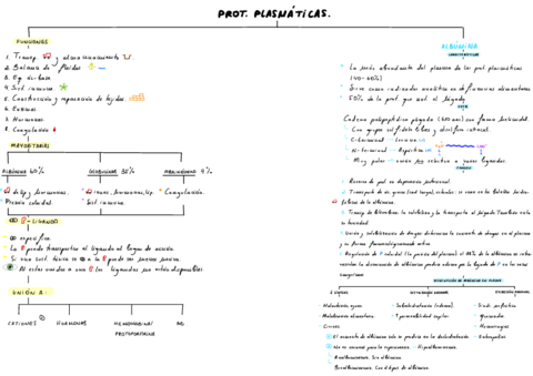 T2-Proteinas-Plasmaticas.pdf