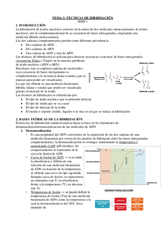 Tema-3-y-4-BMC-1.pdf