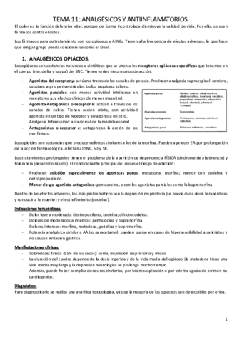 TEMA-11.pdf