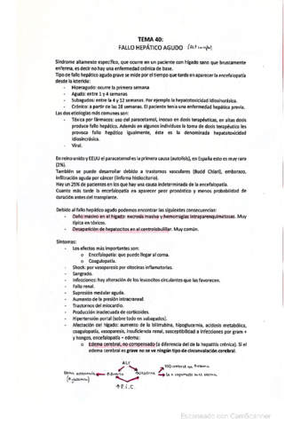 Resumen-fallo-hepatico-agudo.pdf