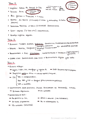 Lo-mas-importante-de-cada-tema.pdf