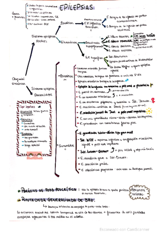 ESQUEMA-DE-LAS-EPILEPSIAS.pdf