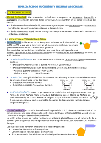TEMA-2.pdf