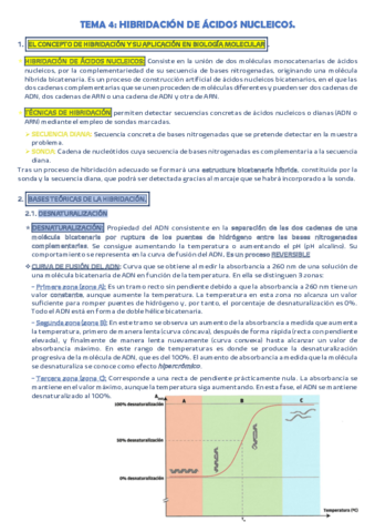 TEMA-4.pdf