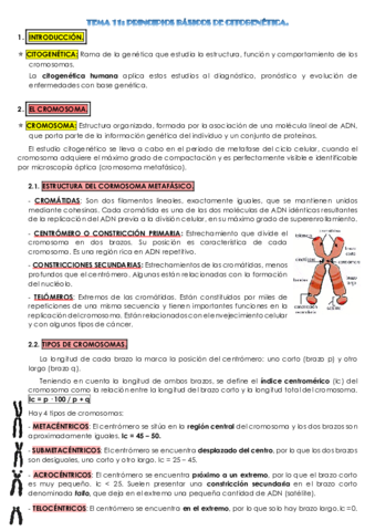 TEMA-11-biologia.pdf