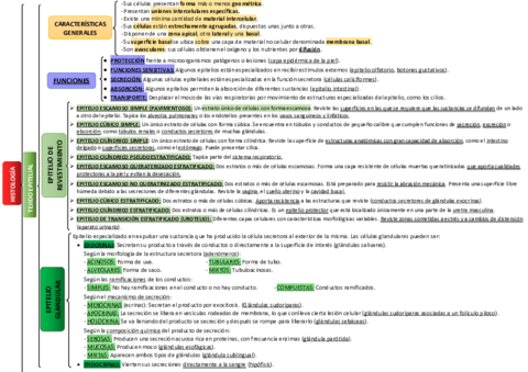 Esquema-histologia.pdf