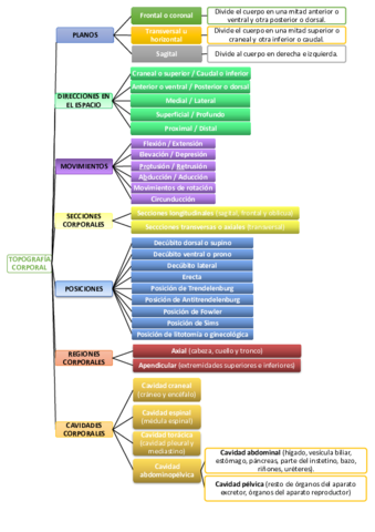 Esquema-topografia-corporal.pdf