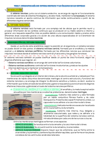 TEMA-7-fisio.pdf