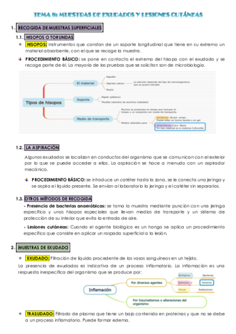 TEMA-8-GMB-MARTA-BAREA-RUIZ.pdf