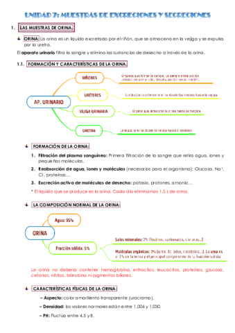 RESUMEN-GMB-UNIDAD-7-MARTA-BAREA-RUIZ.pdf