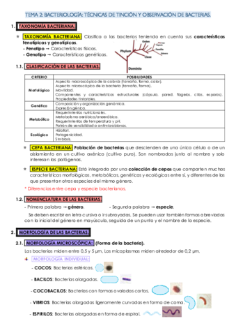 TEMA-2-micro.pdf