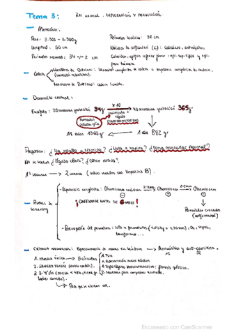 Recien-nacido-normal-exploracion.pdf