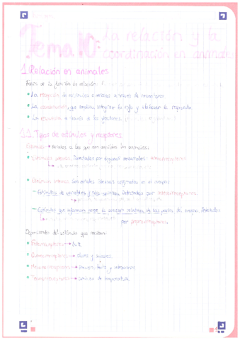 Biologia-1oBACH-Relacion-Sistema-nervioso.pdf