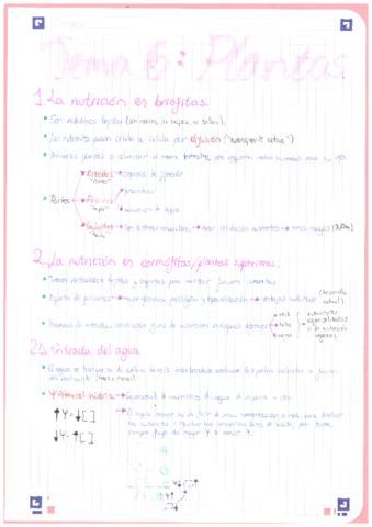 Biologia-1oBACH-Plantas.pdf