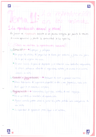 Biologia-1oBACH-Reproduccion.pdf