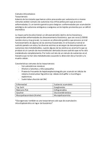 Apuntes-de-clase-de-tesaurimosis.pdf