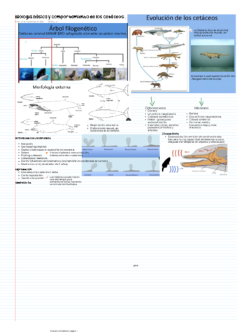 Biologia-basica-y-comportamiento-de-los-cetaceos-.pdf