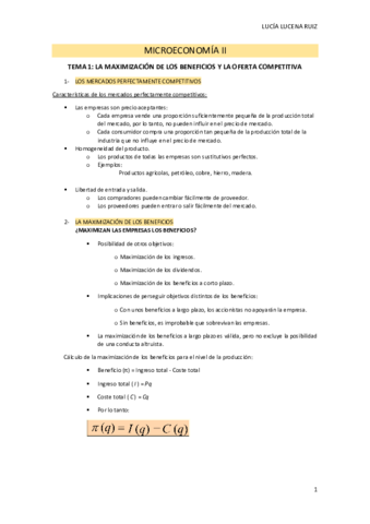 TEMA-1-MICROECONOMIA-II.pdf