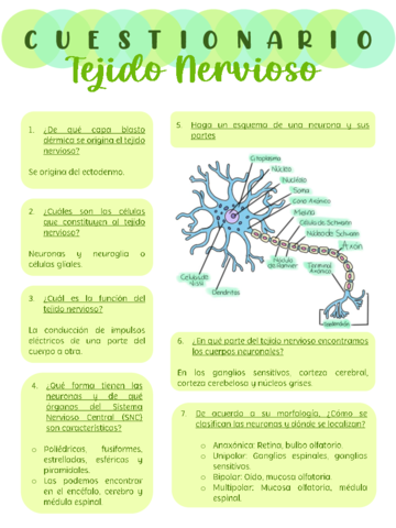 Cuestionario-Tejido-Nervioso.pdf