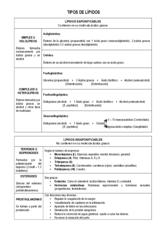 Tipos-de-lipidos.pdf