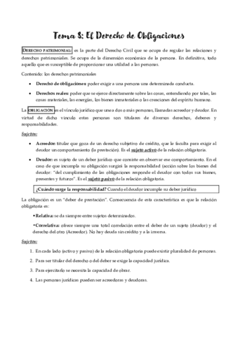 TEMA-8.pdf