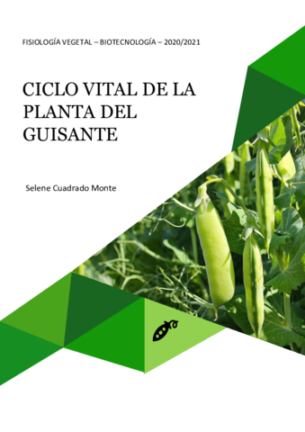 Ciclo-vital-de-la-planta-del-guisante.pdf