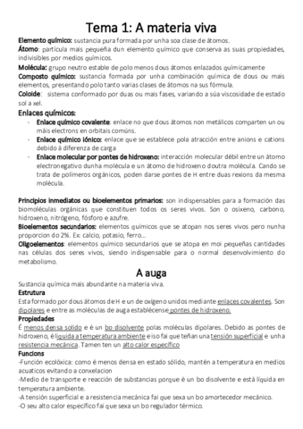 Documento.pdf
