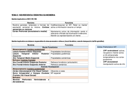 Rexions-Cerebrais-TEMA-3.pdf