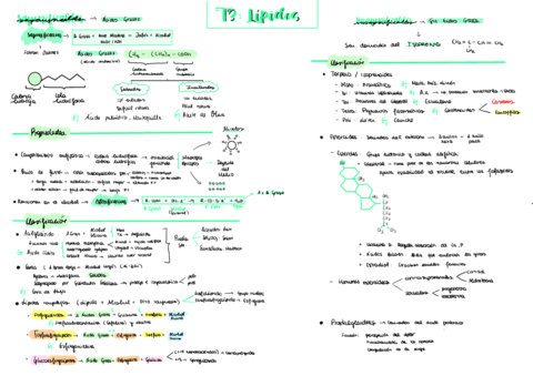 T3-Lipidos.pdf