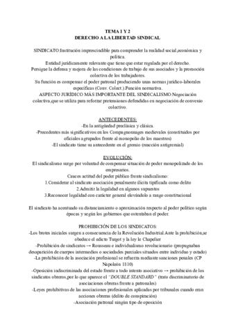 TEMA-1-Y-2-DTSS-II-.pdf