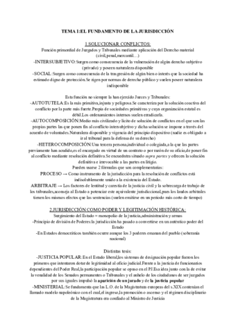 APUNTES-DERECHO-PROCESAL-I.pdf