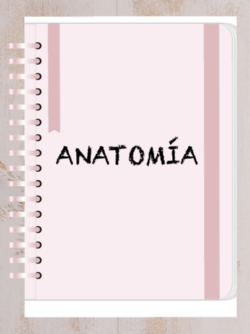 ANATOMIA-.pdf