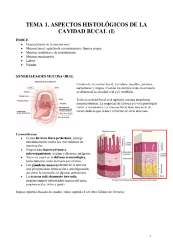 Biologia-oral-Histologia.pdf