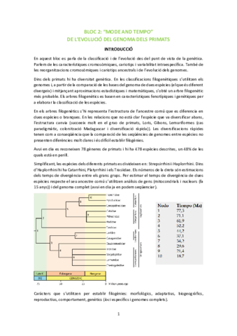 BLOC-2-Mode-and-Tempo-evolucio-genoma-primats.pdf