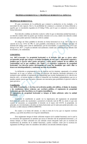 Bolilla-11-1.pdf