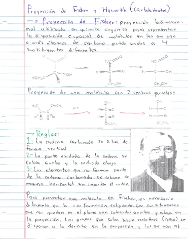 Proyeccion-de-Fischer-y-Haworth.pdf